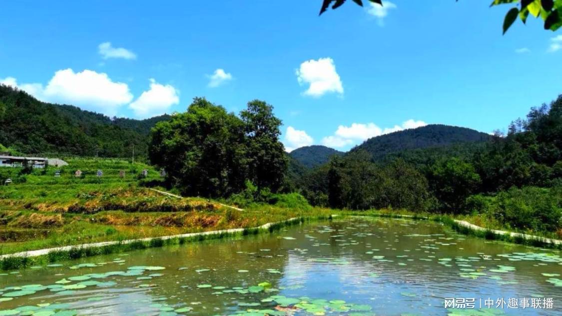 梓豪dy自助下单平台