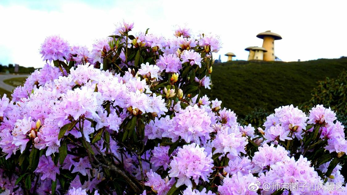 韦雪和秦奋的儿子这么大了