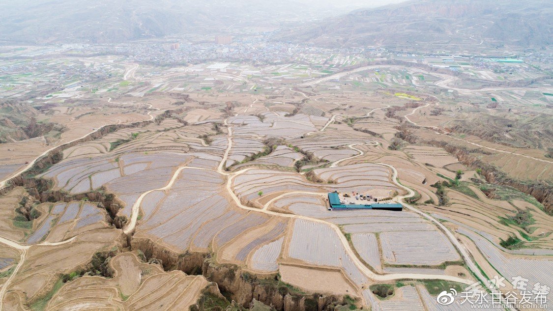 0.01元快手点赞网站：快手点赞平台低价推广新策略曝光_店铺粉丝