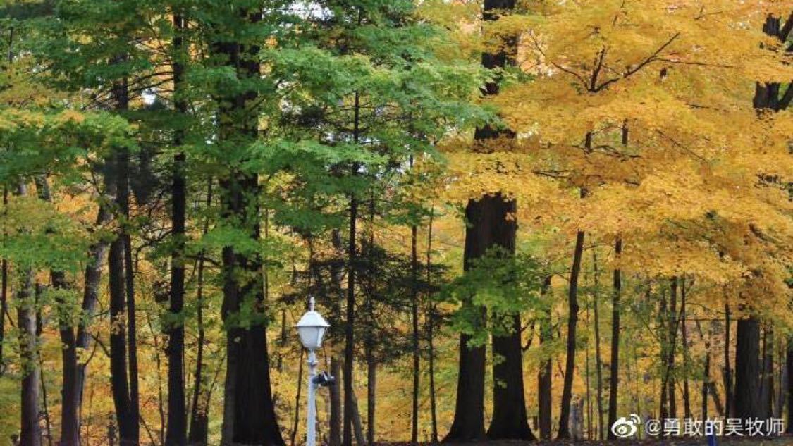 代涨抖音作品赞的网站